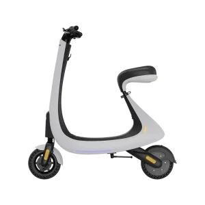 اسکوتر برقی گلتیج مدل SCT03 PowerMotion
